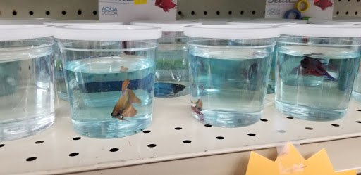 Pet Supply Store «Mini Pet Mart», reviews and photos, 1999 Main St, Springfield, OR 97477, USA