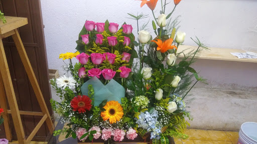Floreria Coatepec – Coatepec