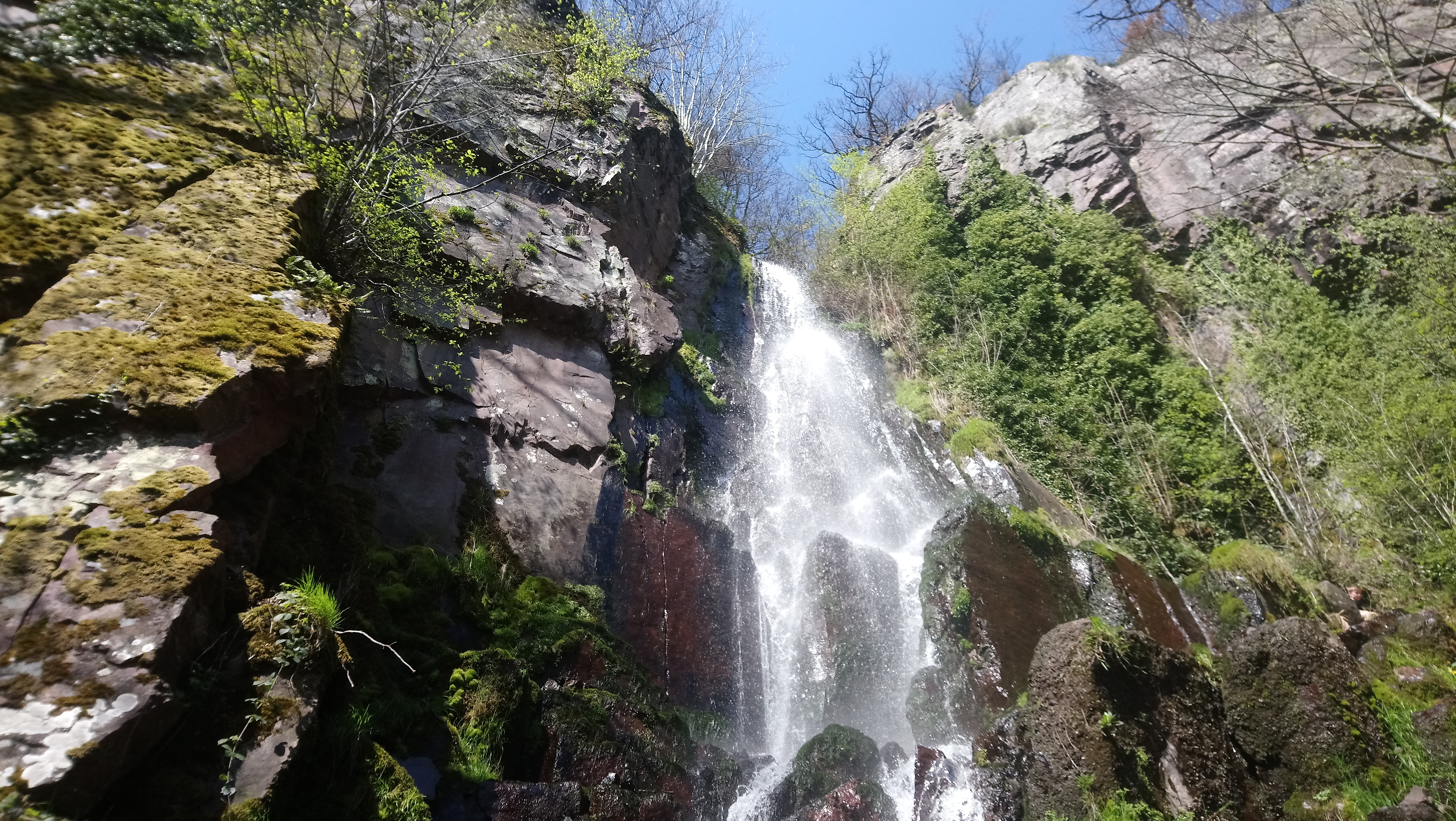 Photo n° 1 de l'avis de MADO.O fait le 05/06/2019 à 10:23