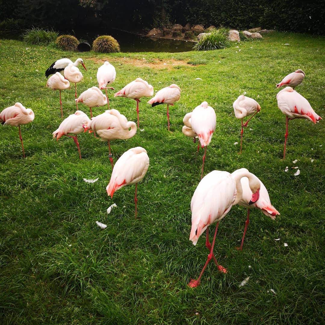 Photo n° 1 de l'avis de Xxx.x fait le 14/08/2020 à 21:01