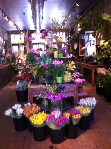 Florist «A New Leaf», reviews and photos, 1645 N Wells St, Chicago, IL 60614, USA
