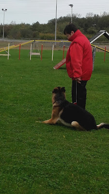 Amicale Canine Grande-Synthe à Grande-Synthe