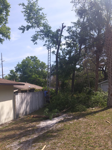 Hardware Store «Vision Ace Hardware», reviews and photos, 8538 Gunn Hwy #10, Odessa, FL 33556, USA