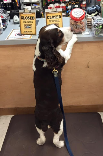 Home Improvement Store «Cole Hardware», reviews and photos, 2254 Polk St, San Francisco, CA 94109, USA