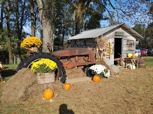 Tourist Attraction «Sugar Hill U-pick Farms», reviews and photos, 3595 Co Rd 59, Verbena, AL 36091, USA