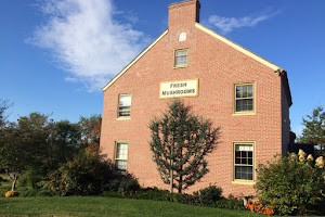 The Woodlands at Phillips Mushroom Farms