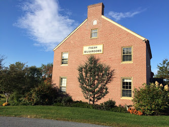 The Woodlands at Phillips Mushroom Farms