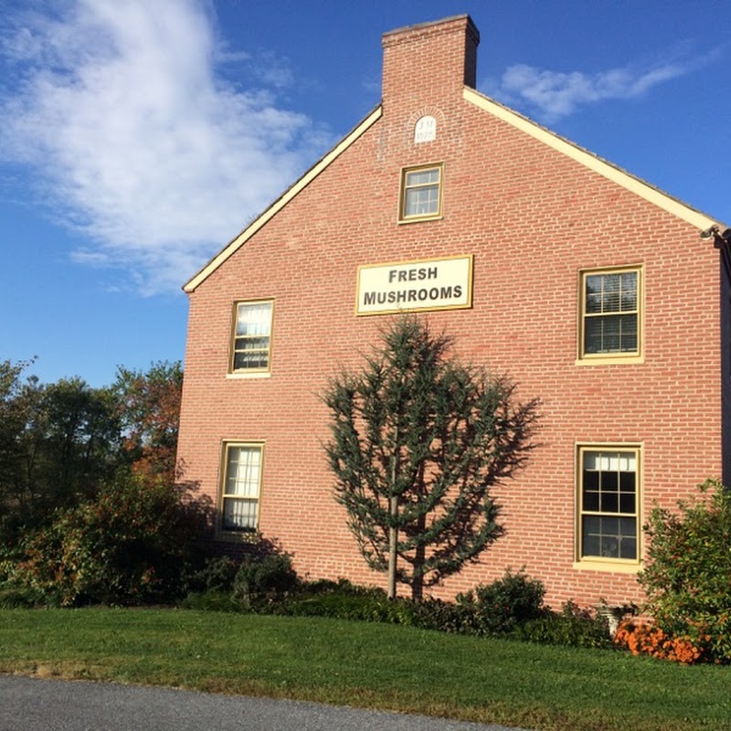 The Woodlands at Phillips Mushroom Farms