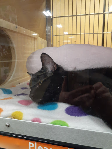 Pet Supply Store «PetSmart», reviews and photos, 1183 Berkshire Blvd, Wyomissing, PA 19610, USA