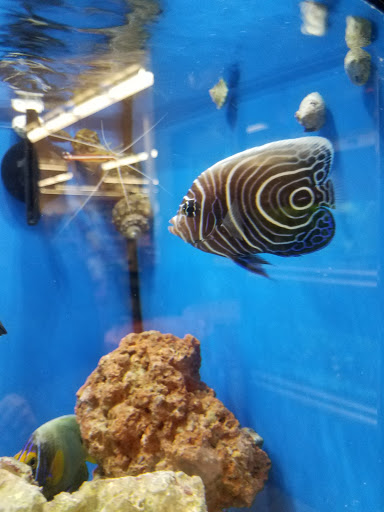 Pet Supply Store «Petco Animal Supplies», reviews and photos, 10 Sylvan St, Peabody, MA 01960, USA