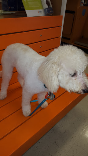 Pet Supply Store «PetSmart», reviews and photos, 8111 Brier Creek Pkwy, Raleigh, NC 27617, USA