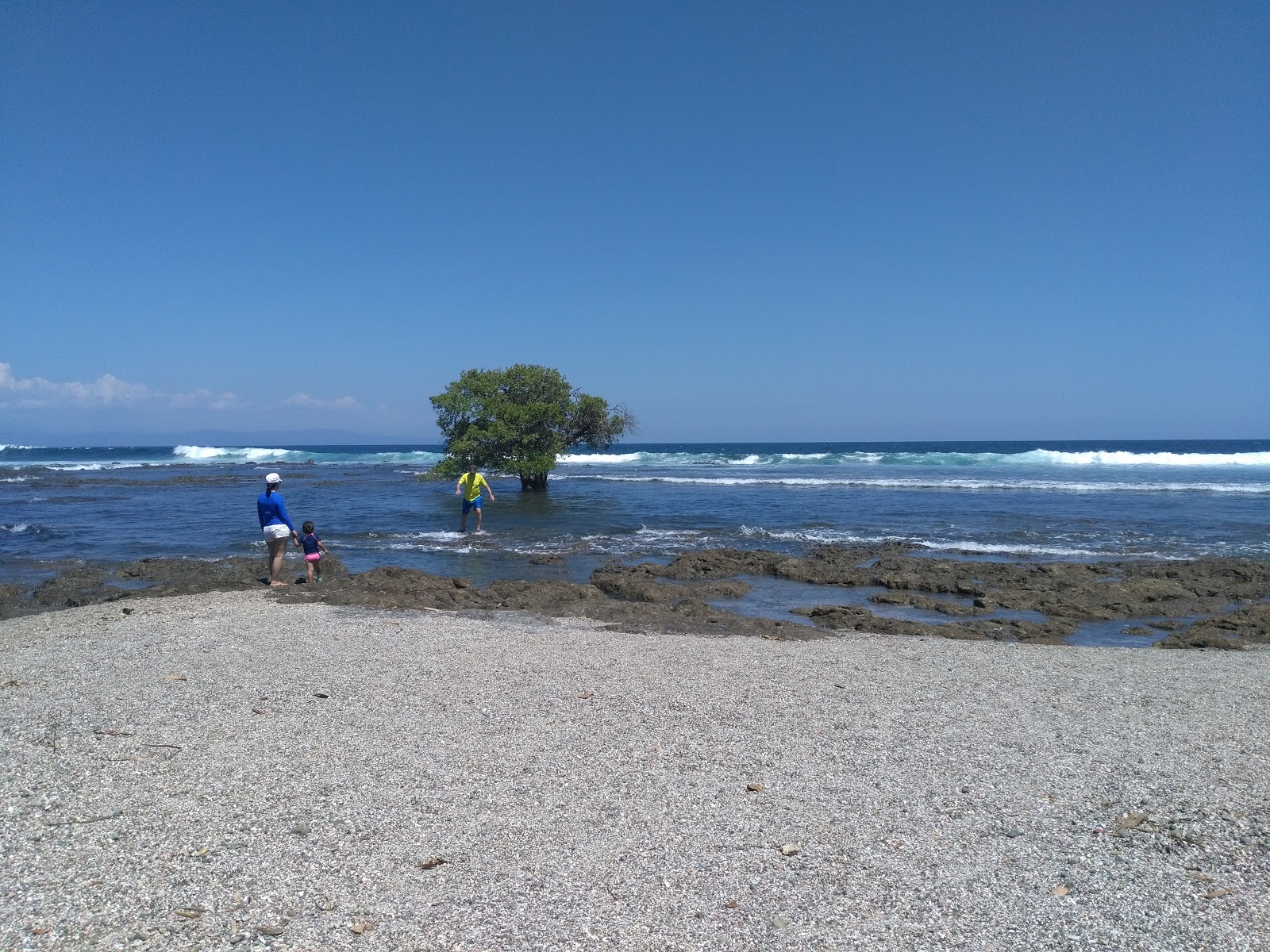Photo of Quizales Beach wild area