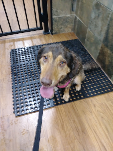 Pet Supply Store «Pet Valu», reviews and photos, 200 Biggs Blvd, Harrison, OH 45030, USA