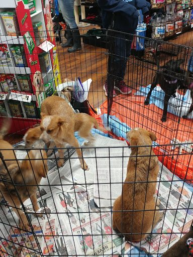 Pet Store «Pet Valu», reviews and photos, 1301 W Skippack Pike, Blue Bell, PA 19422, USA