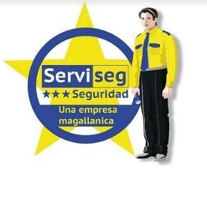Opiniones de Serviseg SPA en Punta Arenas - Spa