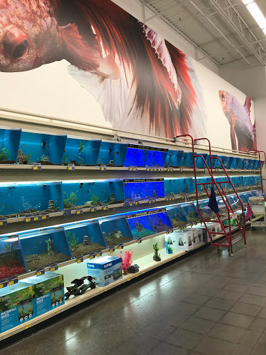 Pet Supply Store «PetSmart», reviews and photos, 13764 W Bell Rd, Surprise, AZ 85374, USA