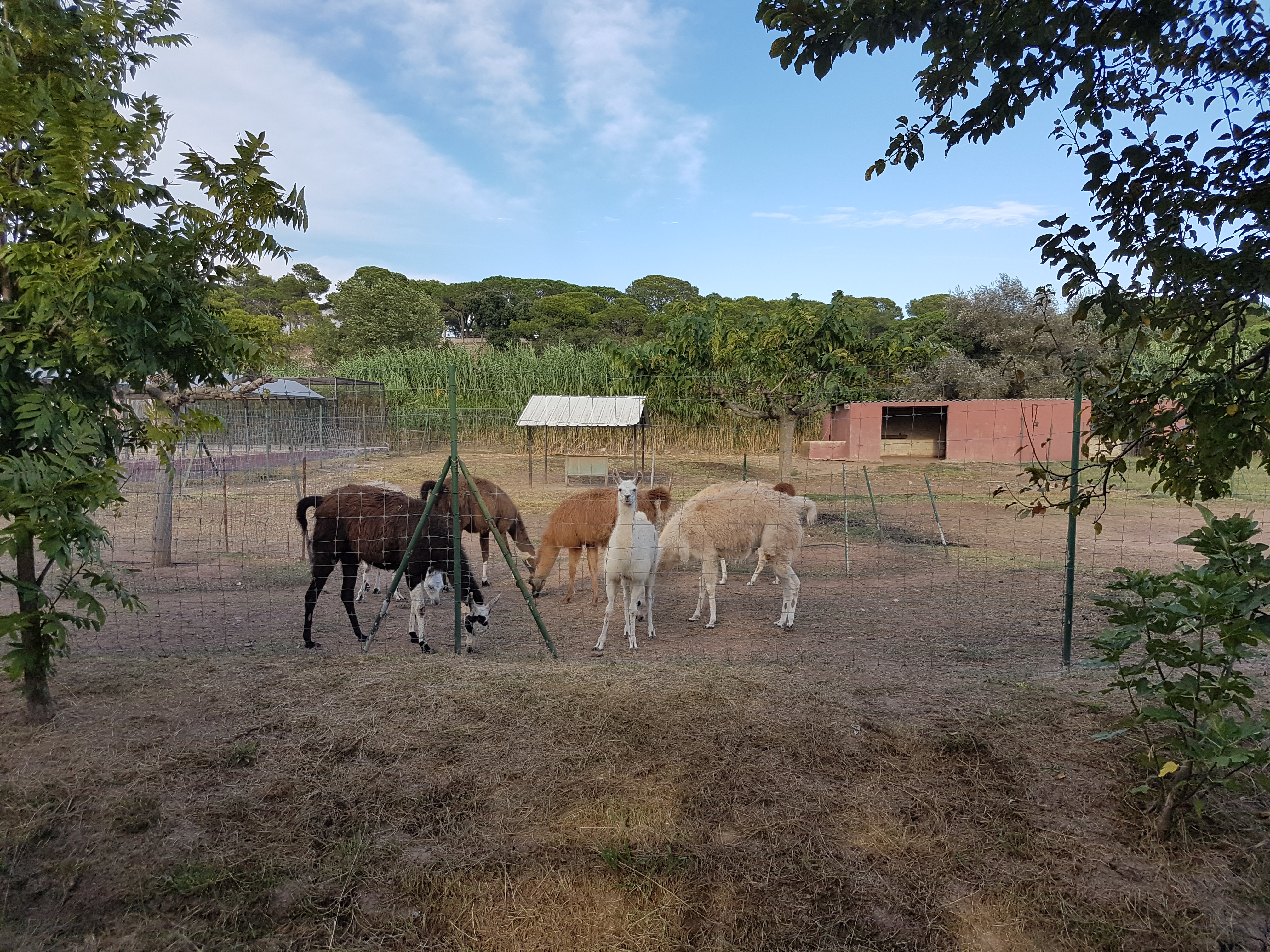 Photo n° 36 de l'avis de Armand.A fait le 09/09/2018 à 19:52