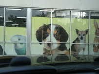 Pet Supermarket - Photo 6 - Car repair in DeLand, FL, Deltona
