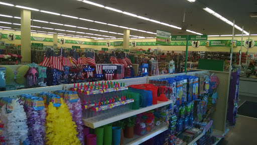 Dollar Store «Dollar Tree», reviews and photos, 16815 E Shea Blvd #127, Fountain Hills, AZ 85268, USA