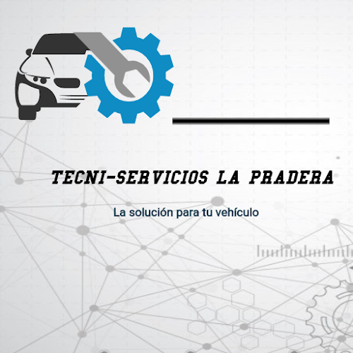 Opiniones de Tecni-Servicos " La Pradera" en Ambato - Taller de reparación de automóviles