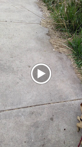 Park «Marquette Park», reviews and photos, 6743 S Kedzie Ave, Chicago, IL 60629, USA