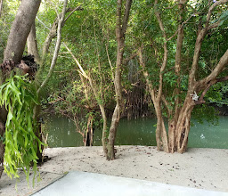 Baan Busaba Hotel photo