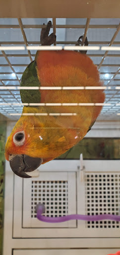 Pet Supply Store «PetSmart», reviews and photos, 10600 Melody Dr, Northglenn, CO 80234, USA