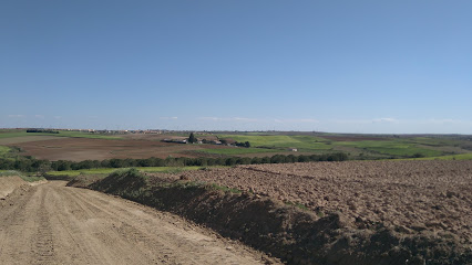 ARRROYO DE LA PUENTECILLA