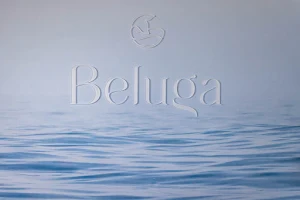 Beluga, studio ledenih kopeli image