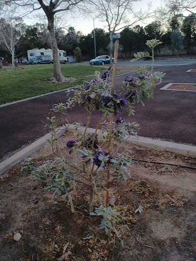 Park «Rainbow Family Park», reviews and photos, 7151 W Oakey Blvd, Las Vegas, NV 89117, USA