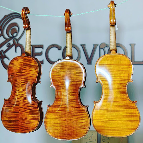 SC ECOVIOLIN SRL - <nil>