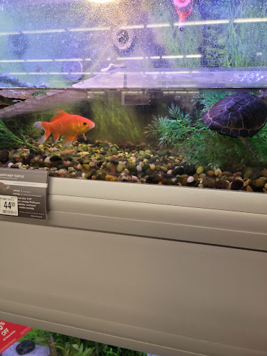 Pet Store «PetSmart», reviews and photos, 1580 Gateway Blvd, Fairfield, CA 94533, USA