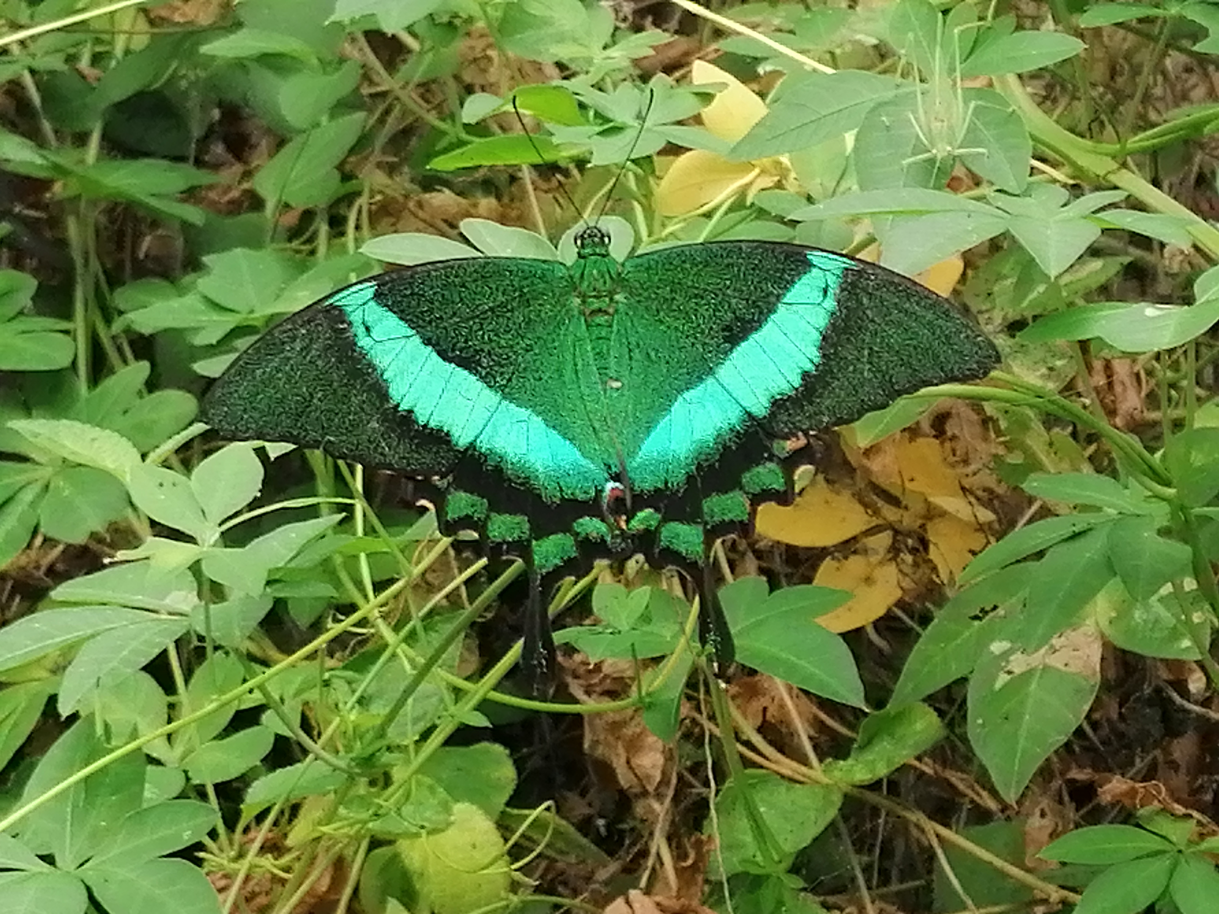 Photo n° 34 de l'avis de Patrice.A fait le 26/08/2022 à 17:23