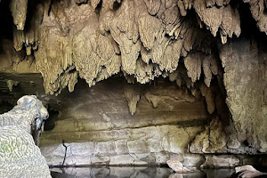 Waipu Caves image