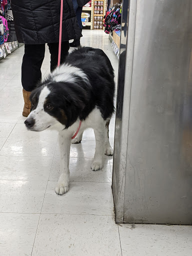 Pet Supply Store «Pet Supplies Plus», reviews and photos, 4505 S 76th St, Greenfield, WI 53220, USA