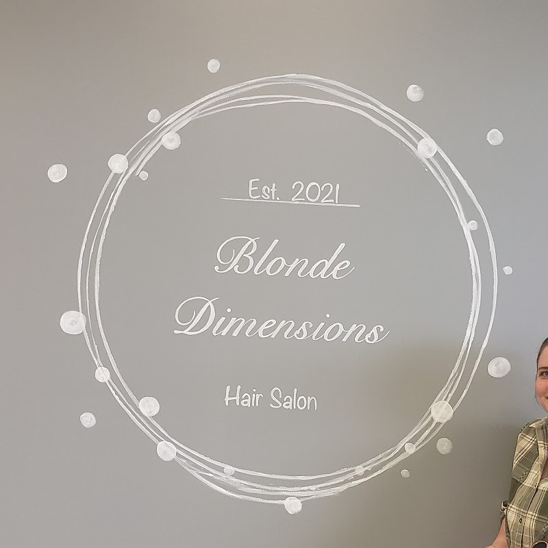 Blonde Dimensions Hair Salon