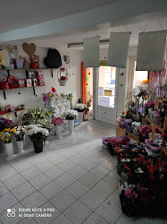 Eri Shop & Flowers