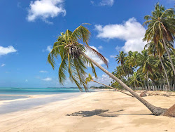 Praia de Antunes'in fotoğrafı imkanlar alanı