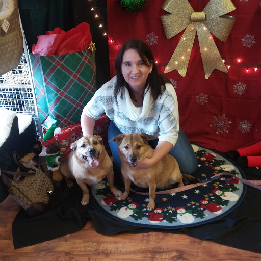 Pet Supply Store «Top Dogs Pet Boutique», reviews and photos, 2615 George Busbee Pkwy NW #14, Kennesaw, GA 30144, USA