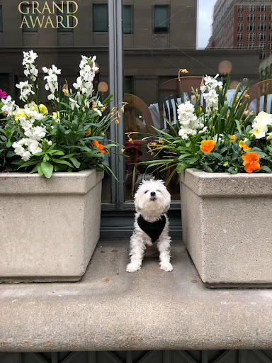 Insurance Company «Liberty Mutual Insurance», reviews and photos