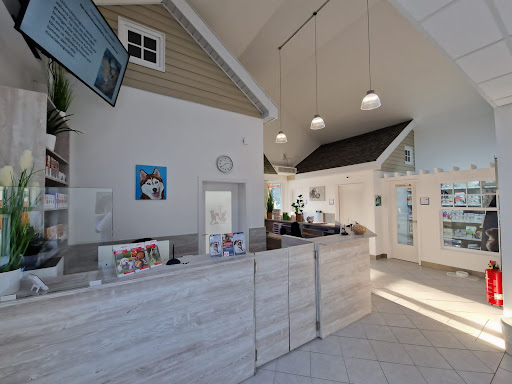 Tierarztpraxis Rödiger GmbH - Das Veterinärmedizinische Zentrum Falkensee unter Falkensee, 