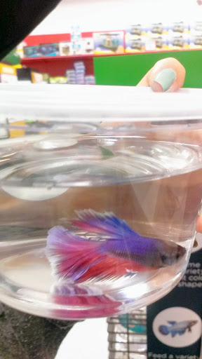 Pet Supply Store «Petco Animal Supplies», reviews and photos, 1014 Glenbrook Way, Hendersonville, TN 37075, USA