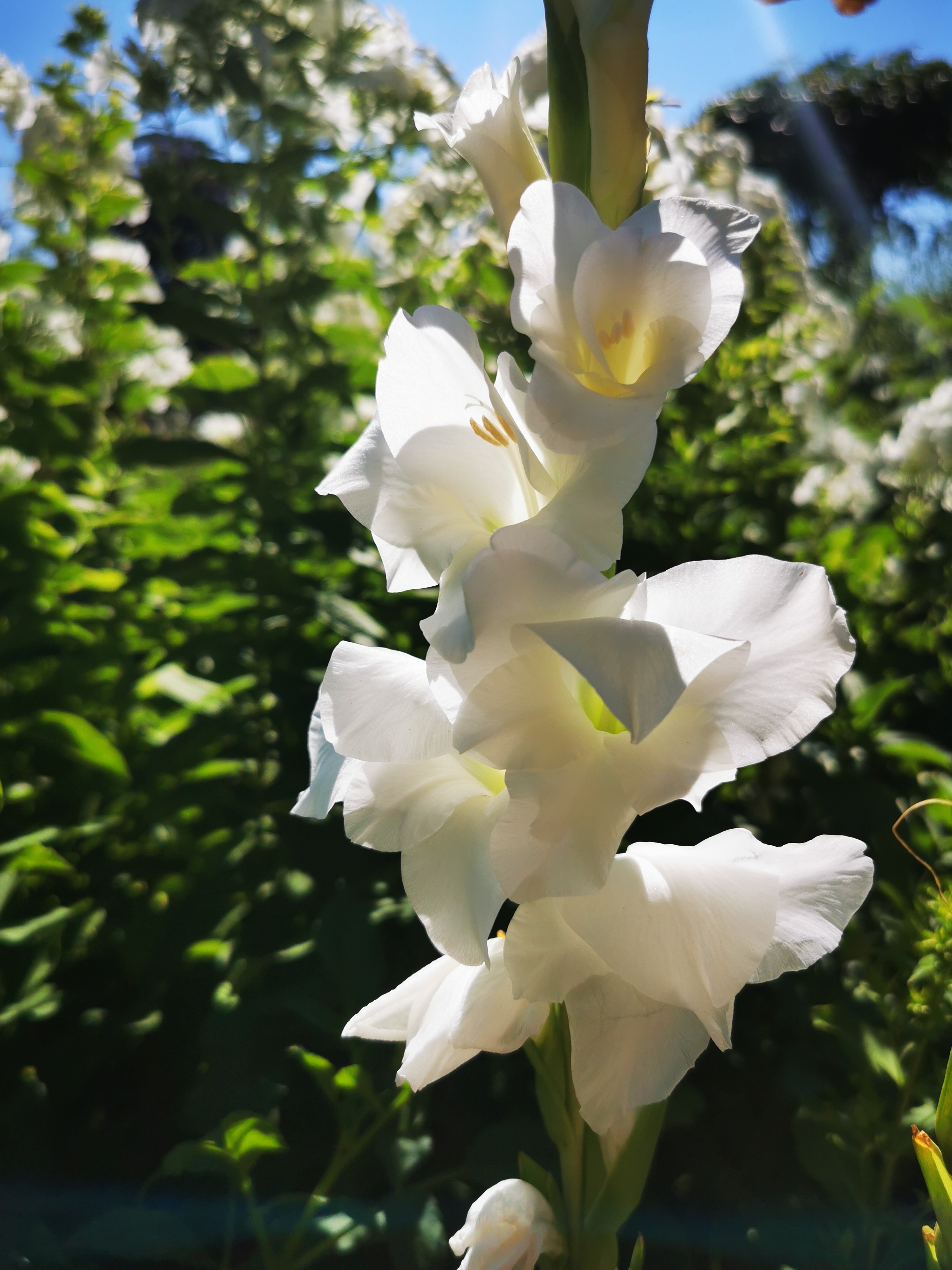 Photo n° 2 de l'avis de ASMA.A fait le 16/08/2022 à 18:29