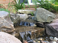 Shady Acre Lawn Care Inc. - Photo 4 - Car repair in Grand Rapids, MI, Grand Rapids