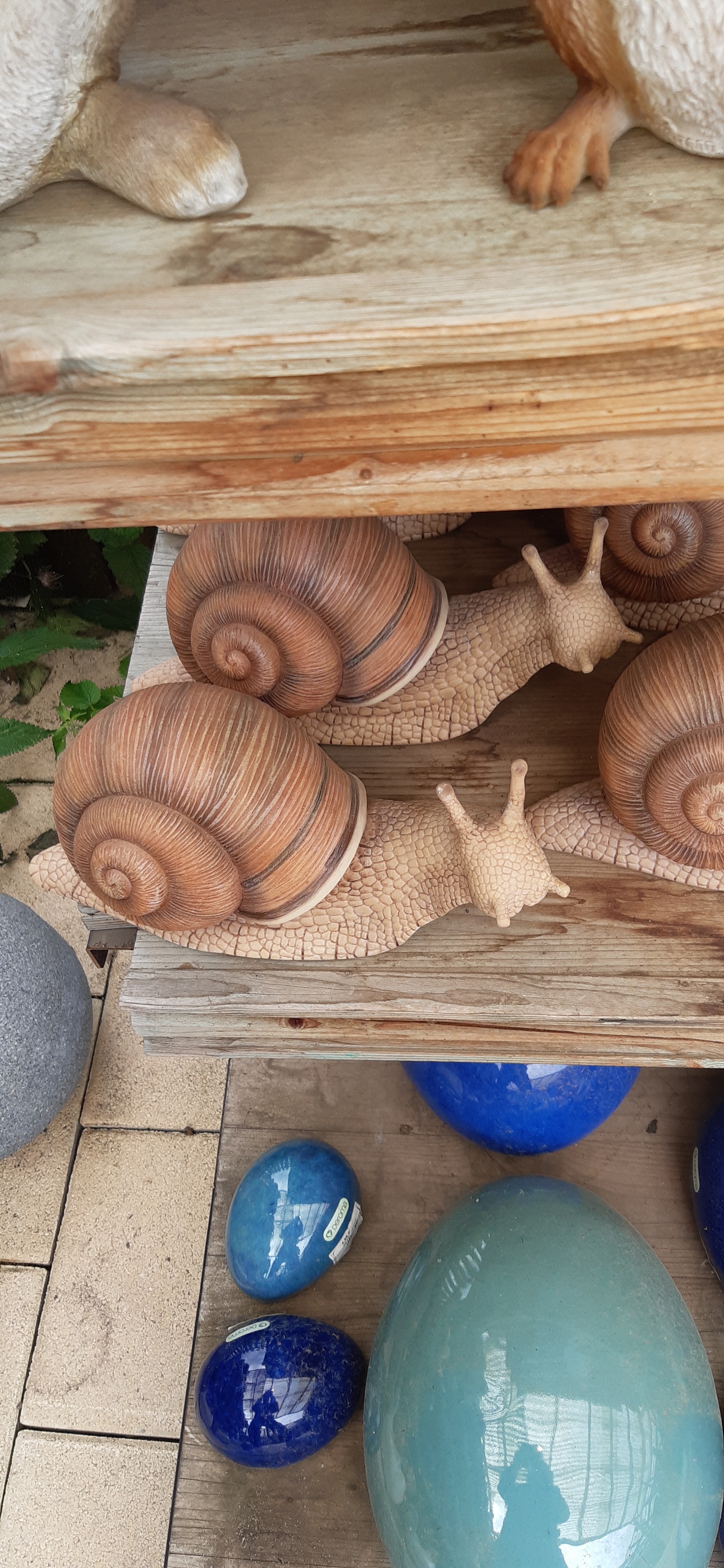 Photo n° 1 de l'avis de Thierry.� fait le 05/06/2020 à 16:55