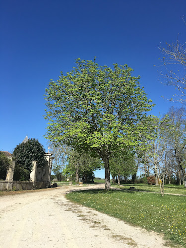 Château Larrivaux à Cissac-Médoc