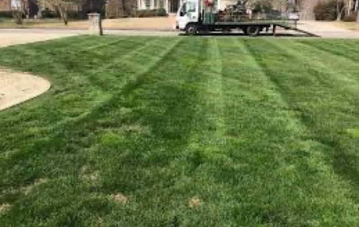 Mighty Tidy Lawn Care and More LLC