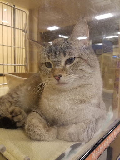 Pet Supply Store «PetSmart», reviews and photos, 3081 S 5600 W, Salt Lake City, UT 84120, USA