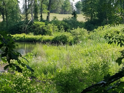 Golf Course «Pine View Golf Club», reviews and photos, Pulver Rd, Three Rivers, MI 49093, USA