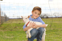 Nellie Mae Photography - Photo 6 - Car repair in , Abilene